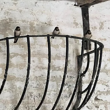 L'écrin Des Hirondelles, La Ferme Hébergement de vacances Brouckerque
