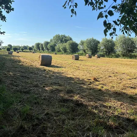 L'écrin Des Hirondelles, La Ferme Brouckerque